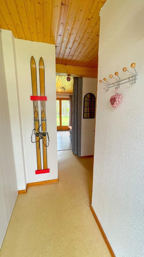 'les Airelles Du Lac' T2 Appartement Gérardmer